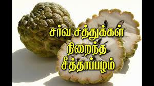 Custard Apple ச த த ப பழம Youtube