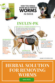 The symptoms are the same if the liver other symptoms of liver cancer that get worse or do not get better after 2 weeks. Inulin Pk For Dogs Dog Cancer Natural Pet Pets
