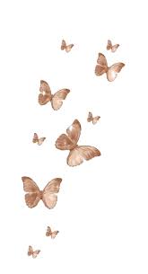 Freetoedit Freetoedit Butterfly Aesthetic Vintage Sticker Aestheticsticker Butterflies Aesthetic Vintage Butterfly Wallpaper Iphone Butterfly Wallpaper