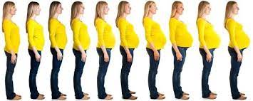 Unser rechner zur gewichtszunahme in der schwangerschaft zeigt ihnen, ob ihre gewichtszunahme im empfohlenen bereich liegt und wie viel sie idealerweise bis zum entbindungstermin zunehmen. Gewichtszunahme In Der Schwangerschaft Liliput Lounge