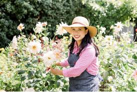 Maybe you would like to learn more about one of these? Growing Dahlias In Hot Climates Growing Kindness Project