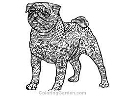 Animals coloring pages is a place where you'll find lots of absolutely free printables for children with many different species from five continents. Pin On Adult Coloring Pages At Coloringgarden Com