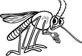 In spanish the word mosquito means little fly. Funny Mosquito Cartoon Clipart Drawing Page Cartoon Clip Art Clip Art Memorial Day Coloring Pages