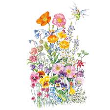 Fairy Meadow Flower Mix Seeds Flower Seeds Packets Meadow Flowers Flower Seeds