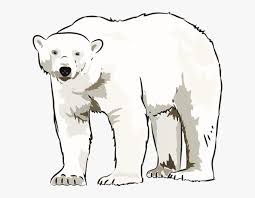 Check spelling or type a new query. Transparent Polar Bear Clip Art Polar Bear Art Clip Hd Png Download Kindpng
