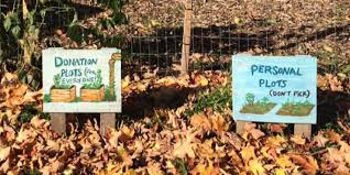 Check spelling or type a new query. 8 Things To Know About Community Gardens Nourish Project