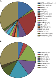 New And Emerging Targeted Treatments In Advanced Non Small