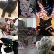 Cat Nail Caps Soft Rubber Covering 100 Pcs