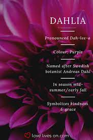 Funeral Flowers And Their Meanings The Ultimate Guide Funeral Flowers Flower Meanings Flower Aesthetic