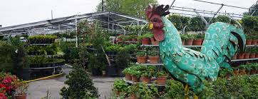 Check spelling or type a new query. Frank S Nursery Richmond Texas