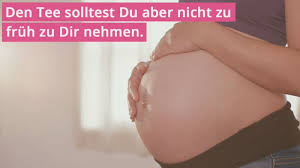 37 Ssw Schwangerschaftswoche