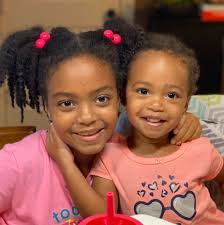 What do owners think of the 2024 Hyundai Hybrid Limited?