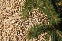 COME SCEGLIERE IL PELLET - oropellet