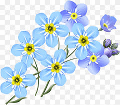 We did not find results for: Flores Pequenas Png Imagenes Pngwing
