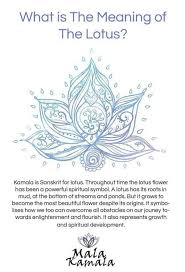 Lotus Flowers May Also Have Meanings Including Purity Beauty And Detachment Yoga Symbols Symbols And Meanings Spiritual Symbols