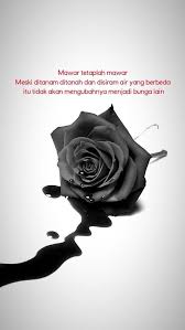  Quotes Kata Kata Kutipan Mawar Mawar Hitam Kehidupan Mawar Mawar Hitam Bunga