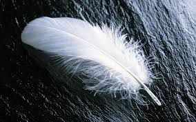 Image result for feather