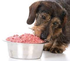Bulmers Raw Dog Food Review Raw Dog Food Diet Dog Food Reviews Dog Food Recipes