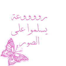 صور ردود و نصوص متحركة غرام اماراتي