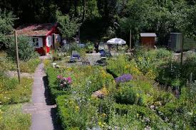 Im naturgarten werden heimische wildtiere und wildpflanzen (fauna und flora) besonders gefördert. Naturgarten Tipps Tricks Zur Gartensaison Geo