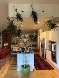Check spelling or type a new query. Reddit The Front Page Of The Internet Dracena Growing Indoors Houseplants