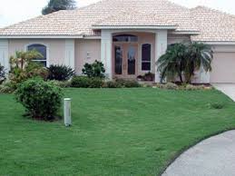 Maybe you would like to learn more about one of these? Zoysiagrass Gardening Solutions University Of Florida Institute Of Food And Agricultural Sciences