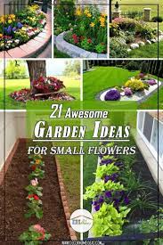 Sow a small patch of seed, allow it to start growing and then sow another patch nearby. 20 Diy Rose Garden Ideas Magzhouse