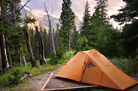 Check spelling or type a new query. Glacier National Park Camping Guide To All 13 Campgrounds Backcountry Camping And Where To Stay Near Glacier National Park The Parks Expert