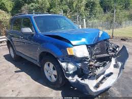 Image result for Sport Blue 2010 Escape