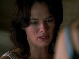 Has been added to your cart. Watch Terminator The Sarah Connor Chronicles Season 1 Prime Video