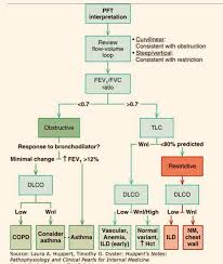 Image result for Pulmonary Function Test
