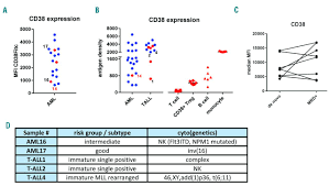 Over time, the leukemia cells crowd out or suppress the development of normal cells. Cd38 As A Therapeutic Target For Adult Acute Myeloid Leukemia And T Cell Acute Lymphoblastic Leukemia Haematologica