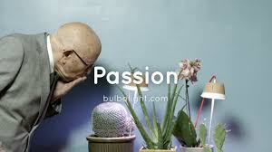 Comes with light, ventilation, and sensors (temp and rh). Led Lights And Products For Indoor Gardening By Bulbo Bulbo