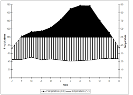 Image result for Trichoscypha lucens