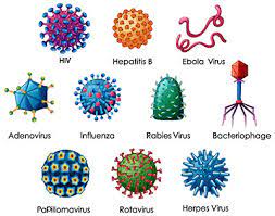 Rotavirus commonly causes severe, watery diarrhea the most common symptoms of rotavirus are severe watery diarrhea, vomiting, fever, and/or abdominal pain. Rotavirus Infektion Ubertragung Krankheiten Medlexi De