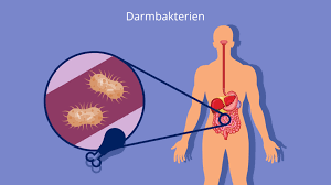 Check spelling or type a new query. Symbiose Definition Mutualismus Allianz Mit Video