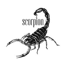 scorpion