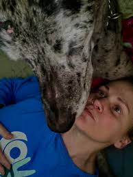 Loss of a beloved pet, seeking prayers and support