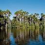 Perú fortalece la protección de la Amazonía al sumarse al Compromiso Intergubernamental sobre la Tenencia de la Tierra para detener la deforestación hacia el año 2030