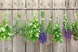 If you're new to drying flowers and herbs, have fun experimenting. How To Dry Herbs At Home The 3 Best Ways Organic Authority