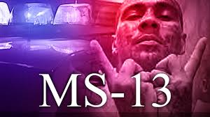 MS-13 gang member sentenced to 50 years after multiple brutal murders,  3-month trial