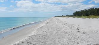 Image result for Sandy Beach 2013 Captiva