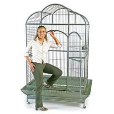 Bird Cage Seed Guard Petsmart Prevue Hendryx Signature Series Wrought Iron Silverado Macaw Dometop Bird Cage In Silver Petco 500 Macaw Cage Large Bird Cages Macaw