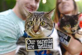 images?q=tbn%3AANd9GcRutGmfXOLHuwskORK6O