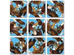 These bird puzzle help your kids have a fun time and learn new things too. B Dazzle Bald Eagles Scramble Squares 9 Piece Puzzle Newegg Com