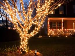 Great Use Of Outdoor Lights And Tree Wrapping Christmas Lights Outside Outdoor Christmas Lights Outdoor Christmas Decorations