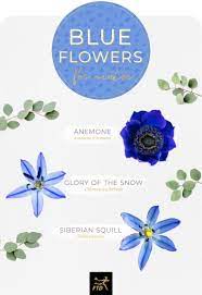 Blue and white flowers names. 30 Types Of Blue Flowers Ftd Com Types Of Blue Flowers Blue Flower Names Blue Flowers