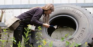 Maybe you would like to learn more about one of these? Opnieuw Tijgermuggen In Belgie