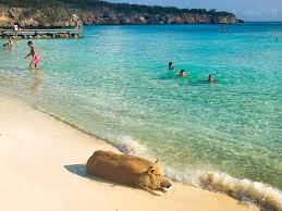 A Local S Guide To Curacao Playa Porto Mari Curacao Honeymoon Curacao Places To Visit