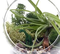 Terrarium Kit Uk Jurassic Park Air Plant Dinosaur Gift Father S Day Uk Air Plant Terrarium Terrariums Kits Open Terrariums